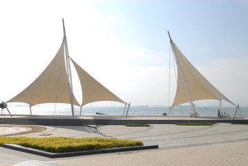 今天分享一些生活小常识英语