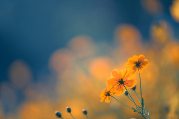 二建高温施工的判定