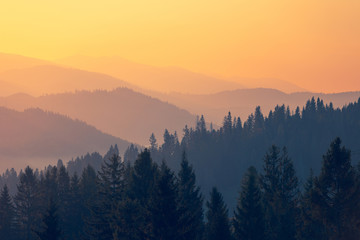 幼儿童话睡前故事