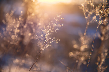 幼儿童话睡前故事