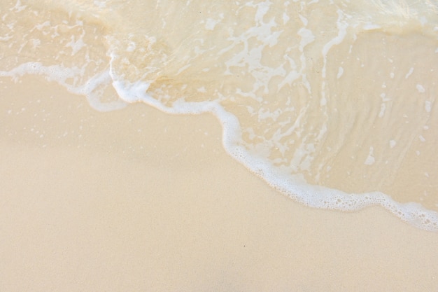 适合一二年级玩的脑筋急转弯及答案大全