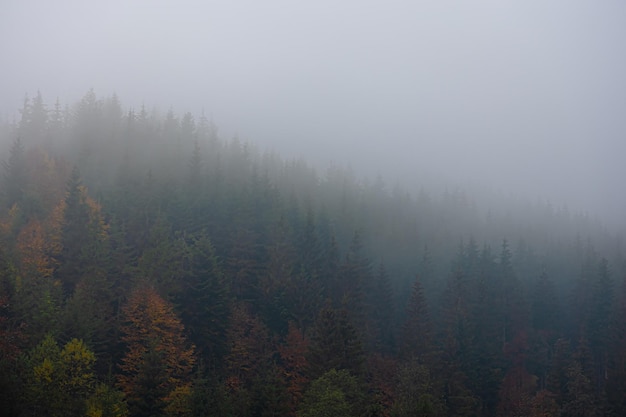 实测辅助”鱼乐达人开挂神器”原来真可以开挂