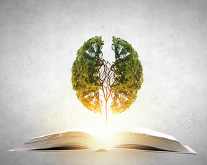 幼儿园孩子的家长会上家长该说什么感想？