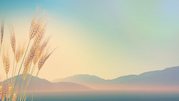 你适合浓妆还是淡妆 选对妆容才能站稳c位