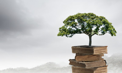 家长感谢老师的话语 暖心发朋友圈