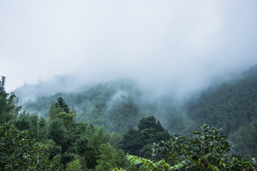 家长感谢老师的话语 暖心发朋友圈
